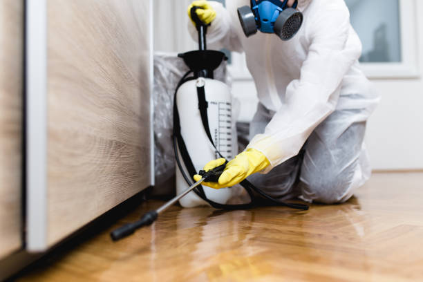 Best Commercial Pest Control Services  in Hampton, AR