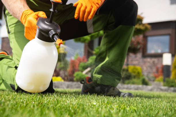 Best Pest Control for Businesses  in Hampton, AR