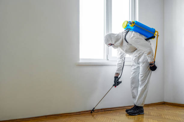 Best Pest Prevention Services  in Hampton, AR