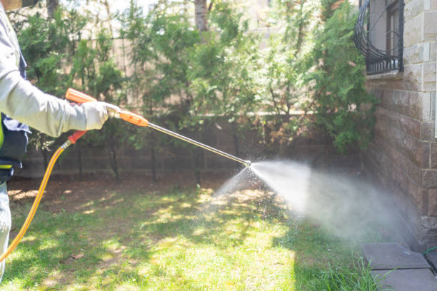 Best Cockroach Control Services  in Hampton, AR
